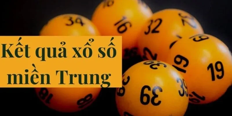 Tìm Hiểu Về Xổ Số Đồng Nai Ngày 23 Tháng 10 Qua New888