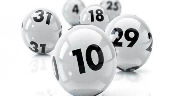 Khám Phá Thế Giới Đua Ngựa: Từ Ngựa Đua Đến Các Trò Chơi Trực Tuyến